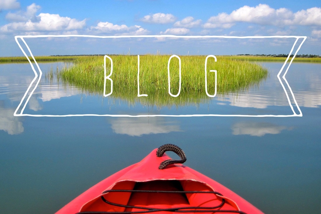 The Everyone's Travel Club blog shares kayaking, sailing, hiking, and traveling stories from aquatic locales