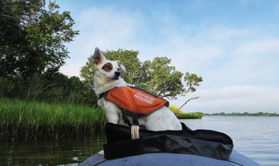 Kayaking in our Innova inflatable kayak with our dog up front